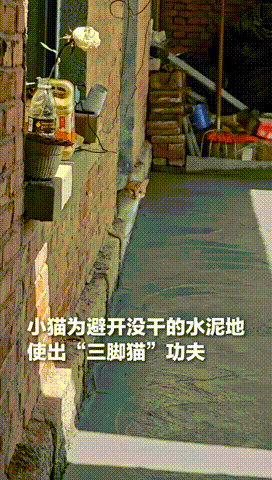 ���帣����ͼ�Ʒ�ϵ�� ÿ���������ж���һ������
