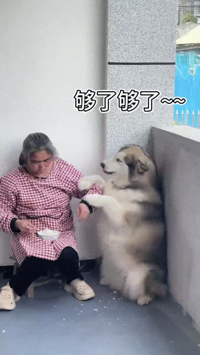 ��һ�ں���ͼ�Ʒ�ϵ�� �����뿪�����ƺ���欰�