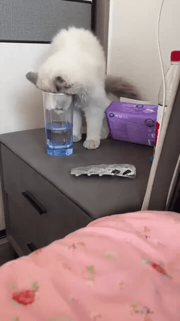 ���帣����ͼ�Ʒ�ϵ�� ϲ�����Ӷ̷����Ǻڳ�ֱ��