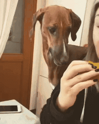 周一内涵囧图云飞系列 美女的鼻子顶我一年的工资