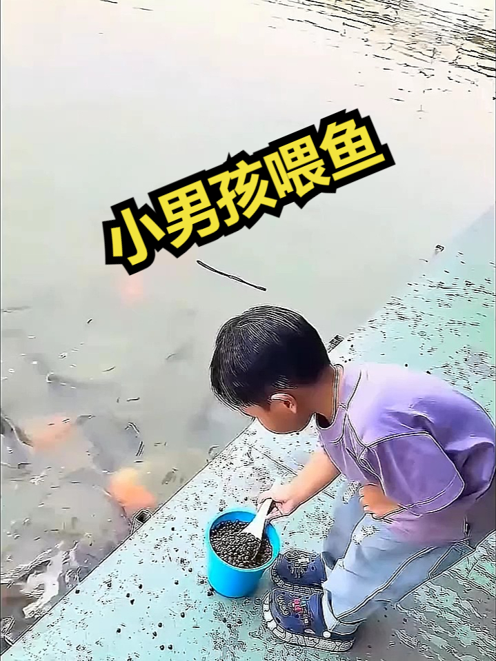 小男孩喂鱼！ 