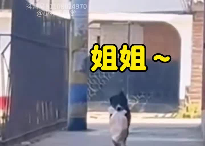 狗狗隔三差五跑十多公里给出嫁后的姐姐送蛋糕。狗狗：姐姐～妈妈让我给你带了蛋糕，是你最爱吃的