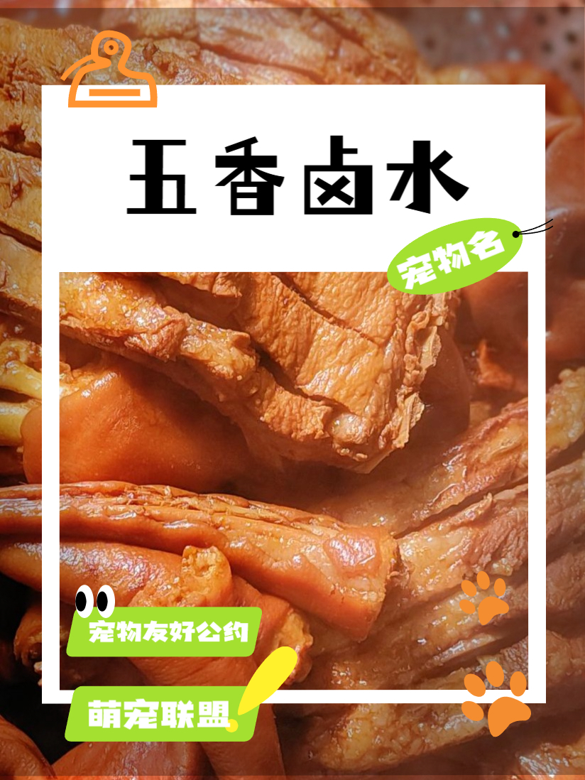 小吃配方之五香卤水 #小吃配方# #五香卤水# #传统卤味# #美食技巧# #香料运用#