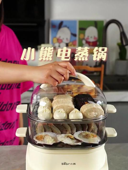 家用多功能电蒸锅