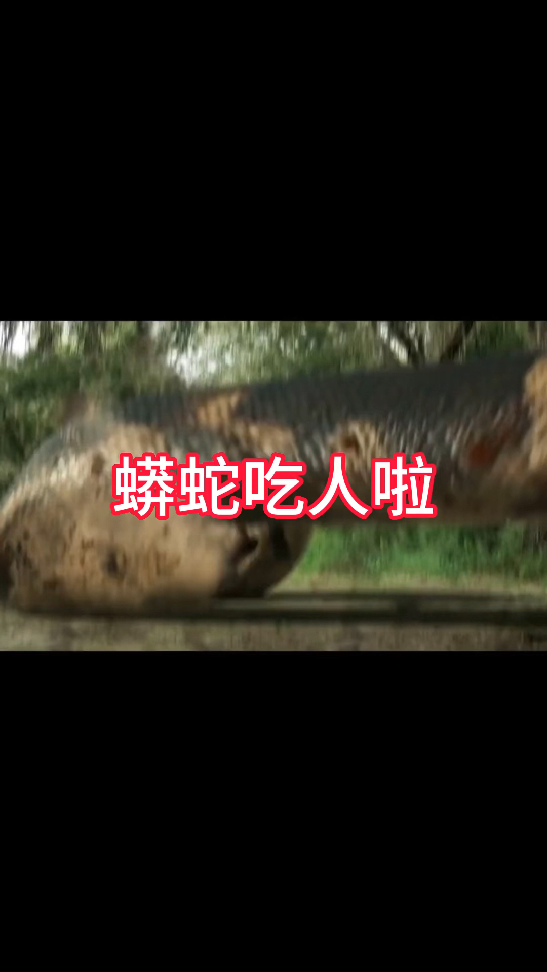 蟒蛇吃人 啦