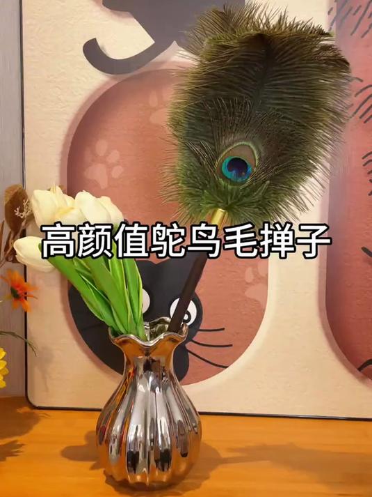 鸵鸟毛掸子便宜好用,像个艺术品,买到就是赚到!