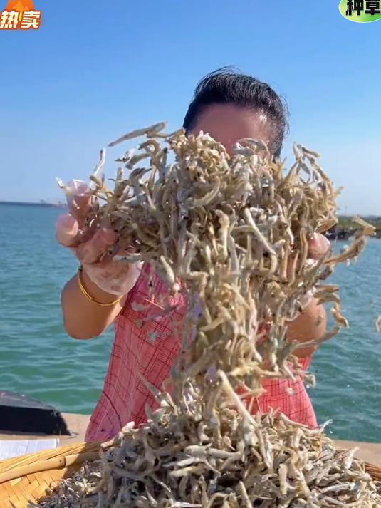 迷你海燕鱼干，鲜香味足。干货十足，肉质紧实。油炸、凉拌、煮汤都香，是提鲜小能手。