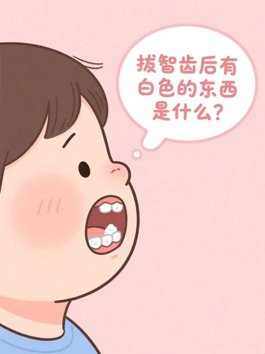 拔智齿后有白色的东西是什么