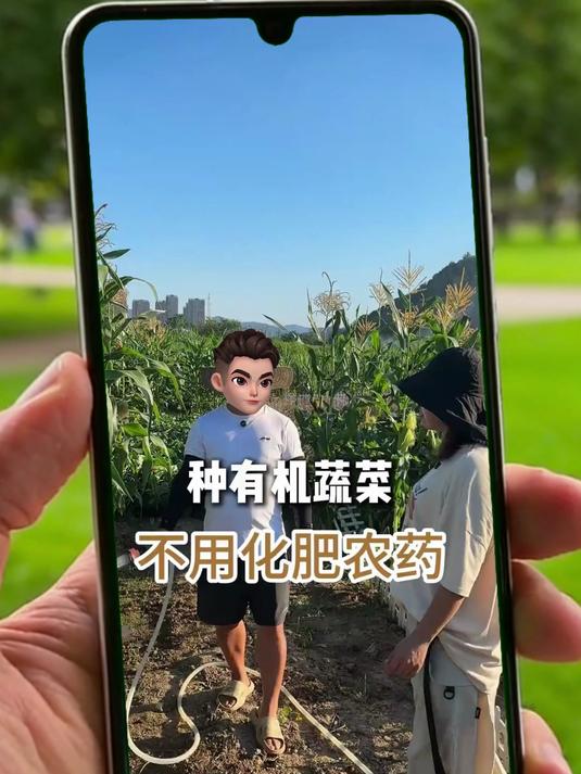 不用化肥农药 种植有机蔬菜