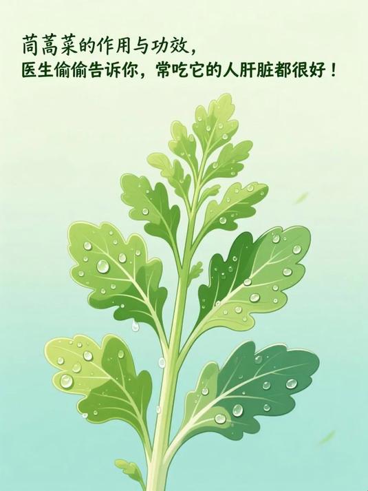 茼蒿菜的作用与功效，医生偷偷告诉你，常吃它的人肝脏都很好！#养肝就是养命#
