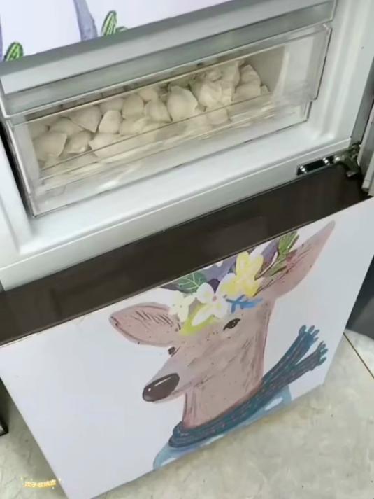 姐妹们,有了这款饺子收纳盒,放冰箱不干皮也不串味,拿取不粘连
