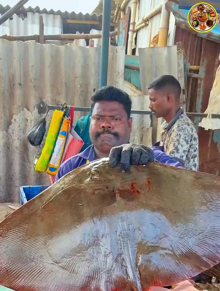 印度人都是如何吃鳐鱼的,真是让人感觉到很不可思议啊