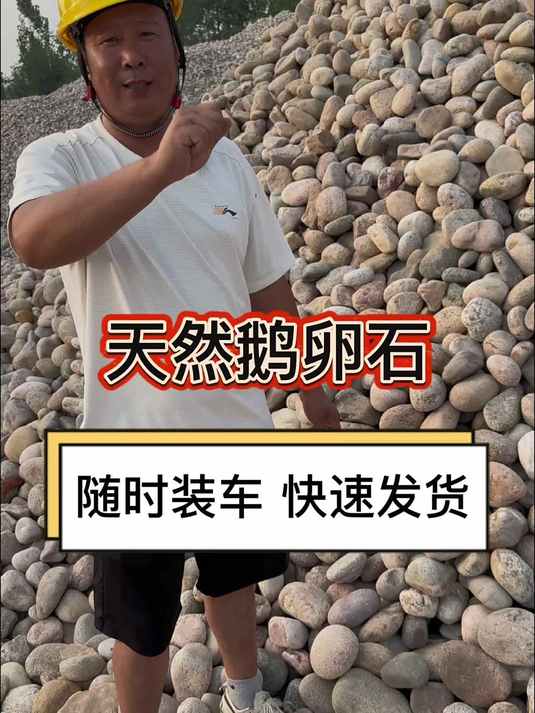 天然鹅卵石 光伏鹅卵石 变电站鹅卵石