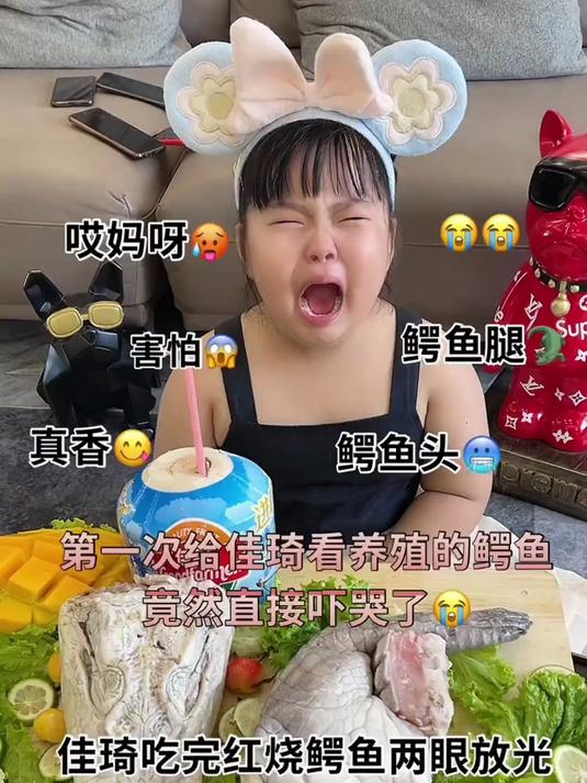 第一看养殖鳄鱼孩子直接被吓哭