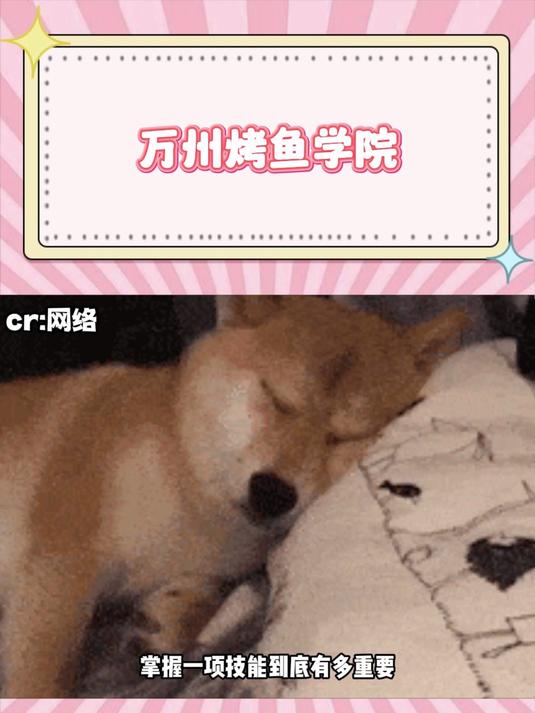 万州烤鱼学院