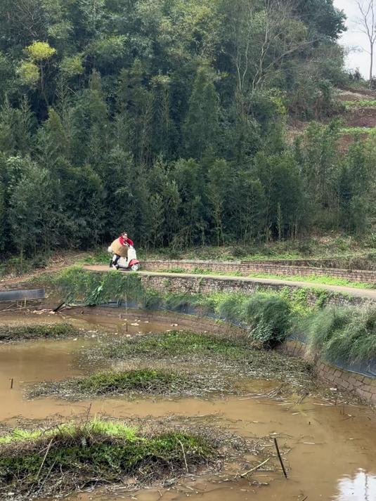 小鲤鱼泡泡被我赖皮蛇轻松拿下
