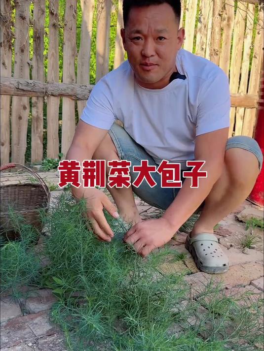黄荆菜你们那都叫啥?有没有吃过?用它包包子吃真带劲,就是烫嘴