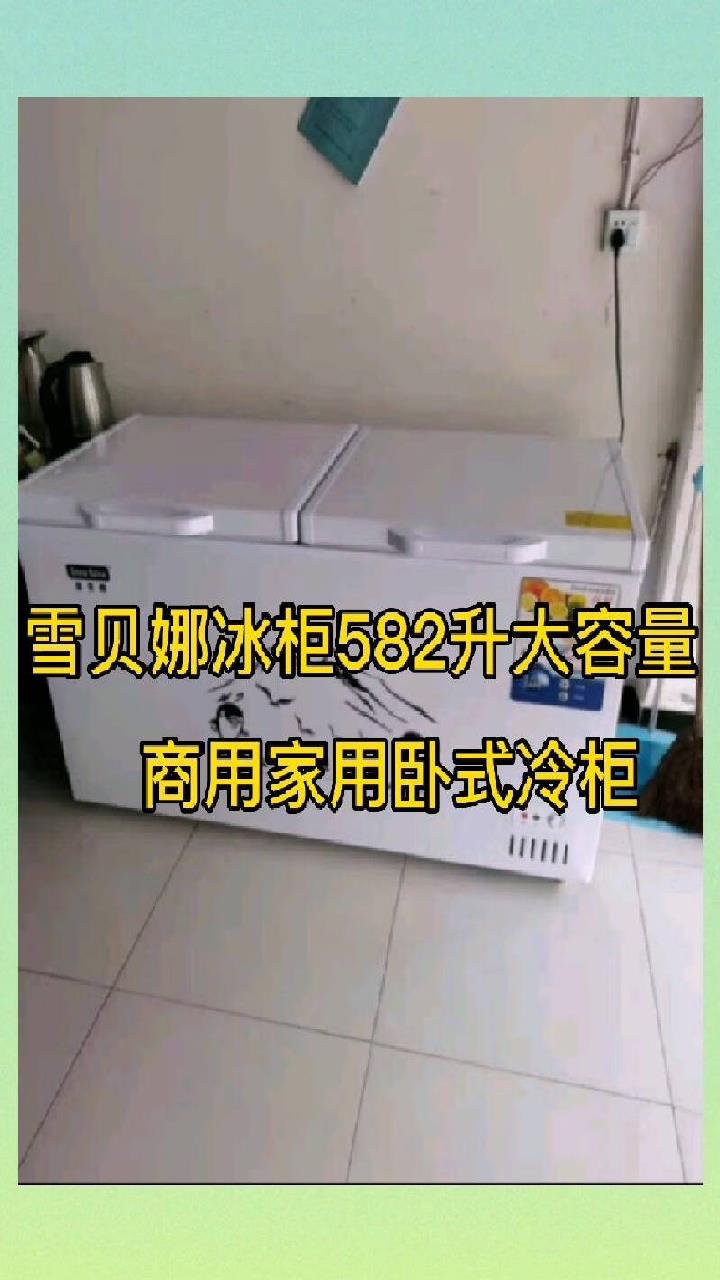 雪贝娜冰柜582升大容量商用家用卧式冷柜双层展示柜