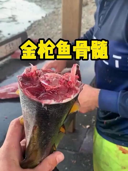 这才是金枪鱼身上最珍贵的部位