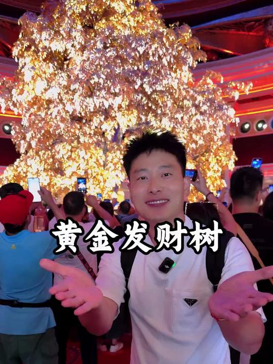 你们听说了吗,澳门有一棵用价值3亿的黄金做的发财树