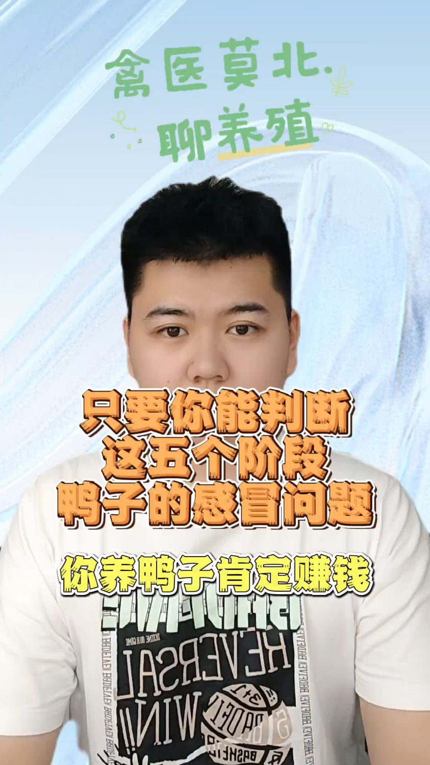 鸡鸭预防感冒吃什么药鸭子预防感冒吃什么药比较好鸭子吃什么可以预防感冒鸭子吃什么