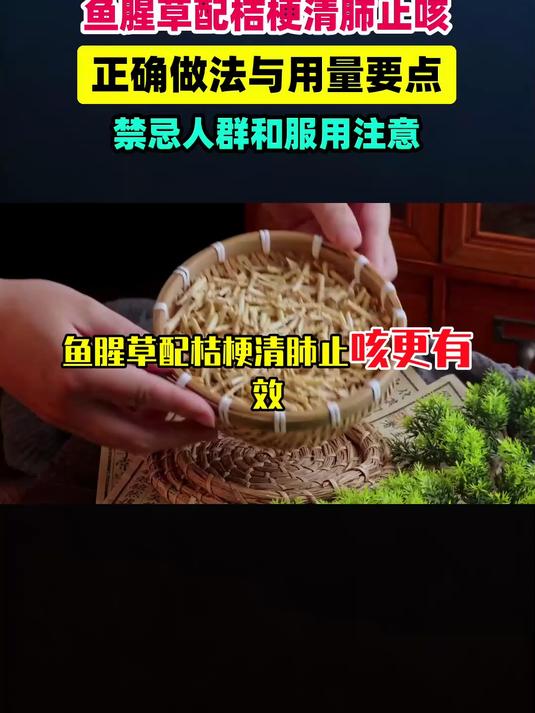 鱼腥草配桔梗清肺止咳更有效？正确做法、用量与禁忌详解 #扬帆养生季#