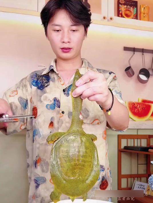剪鸡骨头剪鱼专用剪刀,快来看看