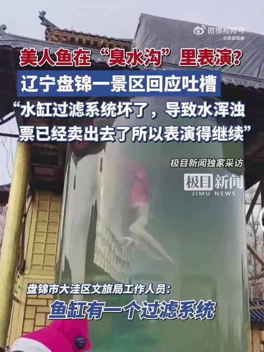 游客吐槽美人鱼在泛绿臭水沟里表演 景区回应:水缸过滤系统坏了(来源:极目新闻)
