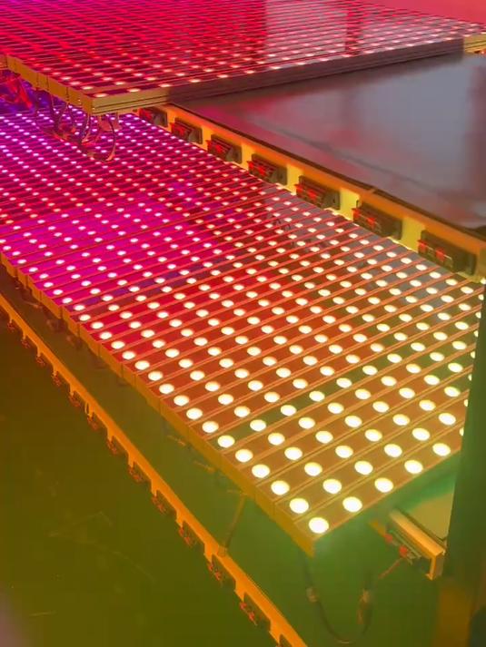 灯眼鱼智能亮化公司