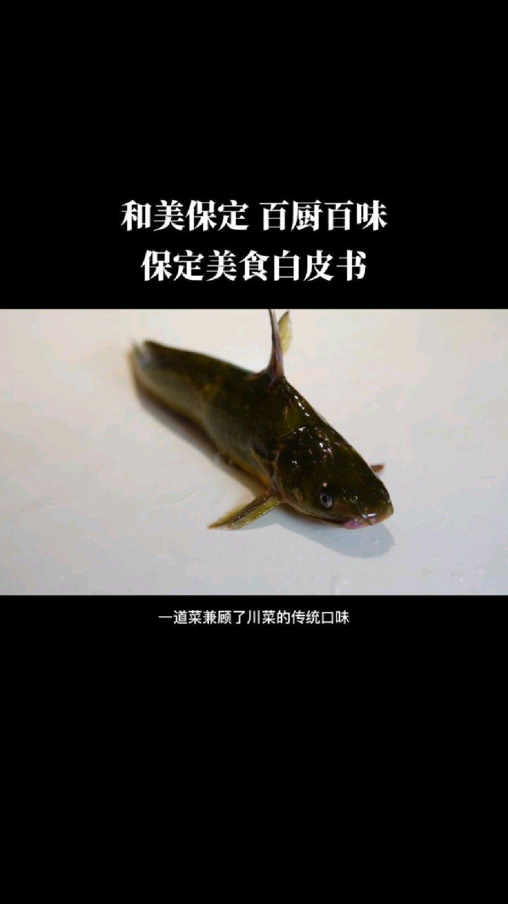 和美保定,百厨百味。你更喜欢沸腾鱼还是大麻嘎鱼?