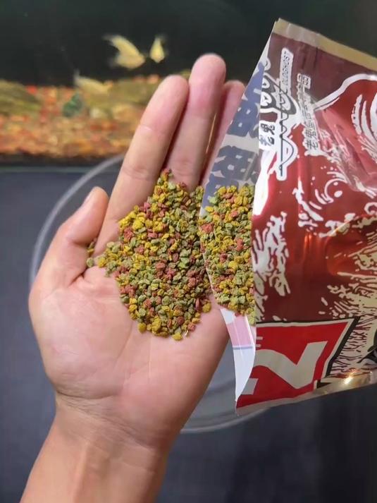 螺鲤也可以开出状态不错的拉饵,并且鲫鱼鲤鱼通用#爆护饵料##原来钓鱼才是运动顶流##钓鱼人
