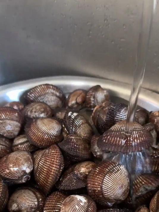 山东海边人的最爱原汁原味毛蛤肉水饺