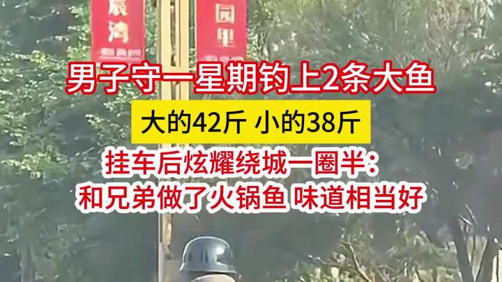 男子守1周钓2条大鱼,挂车后炫耀绕城一圈半:大的42斤小的38斤