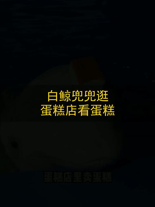 白鲸兜兜逛蛋糕店看蛋糕