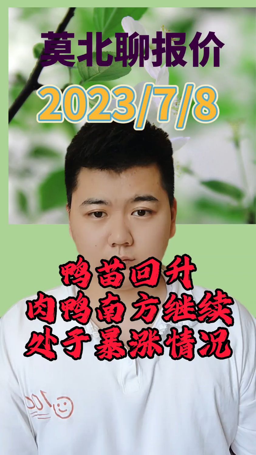 7月8号最新鸭价,白鸭苗继续上涨2-3毛,目前最高报价3.2,最低处在2.5