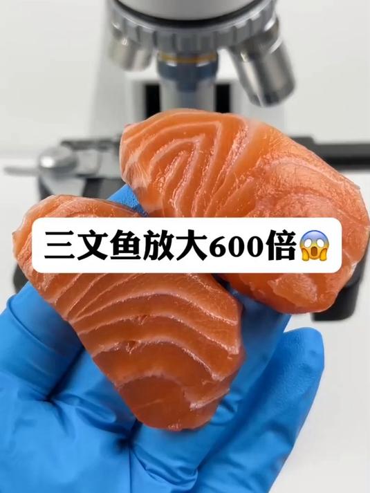 三文鱼真有寄生虫吗?微观世界