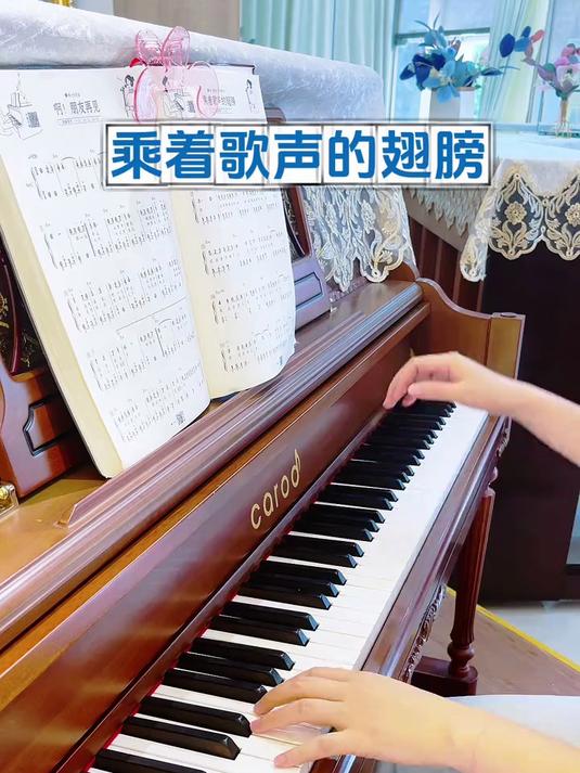 这本书简直就是简谱爱好者的福音,经典老歌永不过时,不容错过
