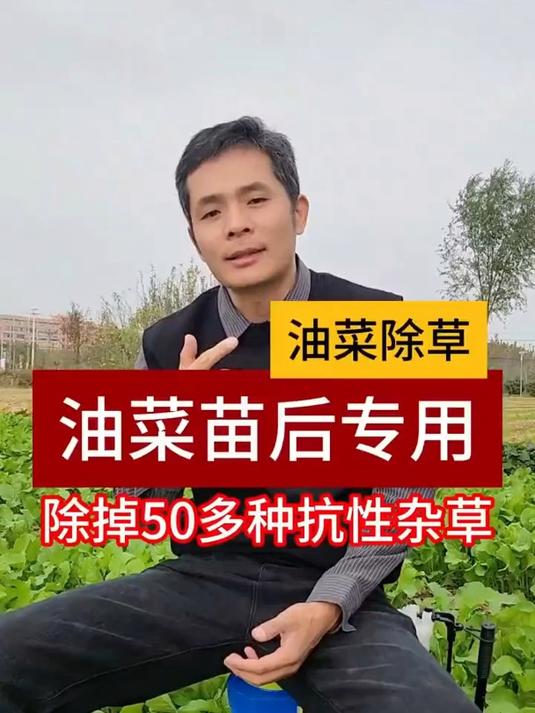 油菜田专用的除草剂他来了,除掉一地草,不伤油菜苗,针对性强