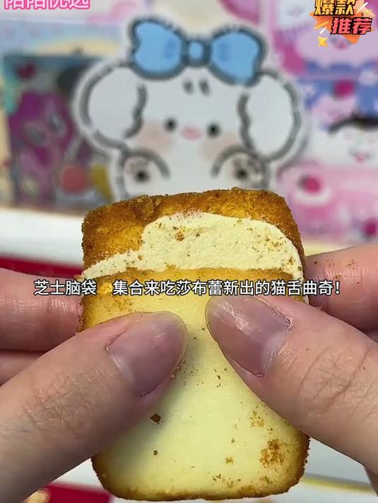 莎布蕾 新品猫舌曲奇～～芝士!巧克力!妥妥就是白色恋人那味呀