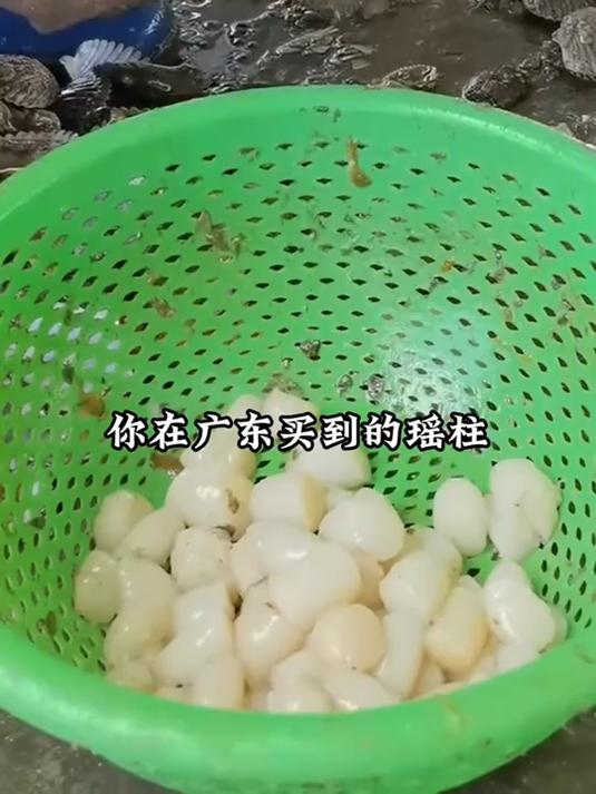 瑶柱干贝,中式菜肴里的 “提鲜法宝”