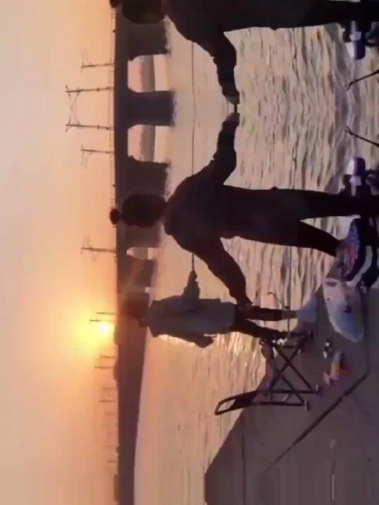 我和我的鱼出来冒泡啦