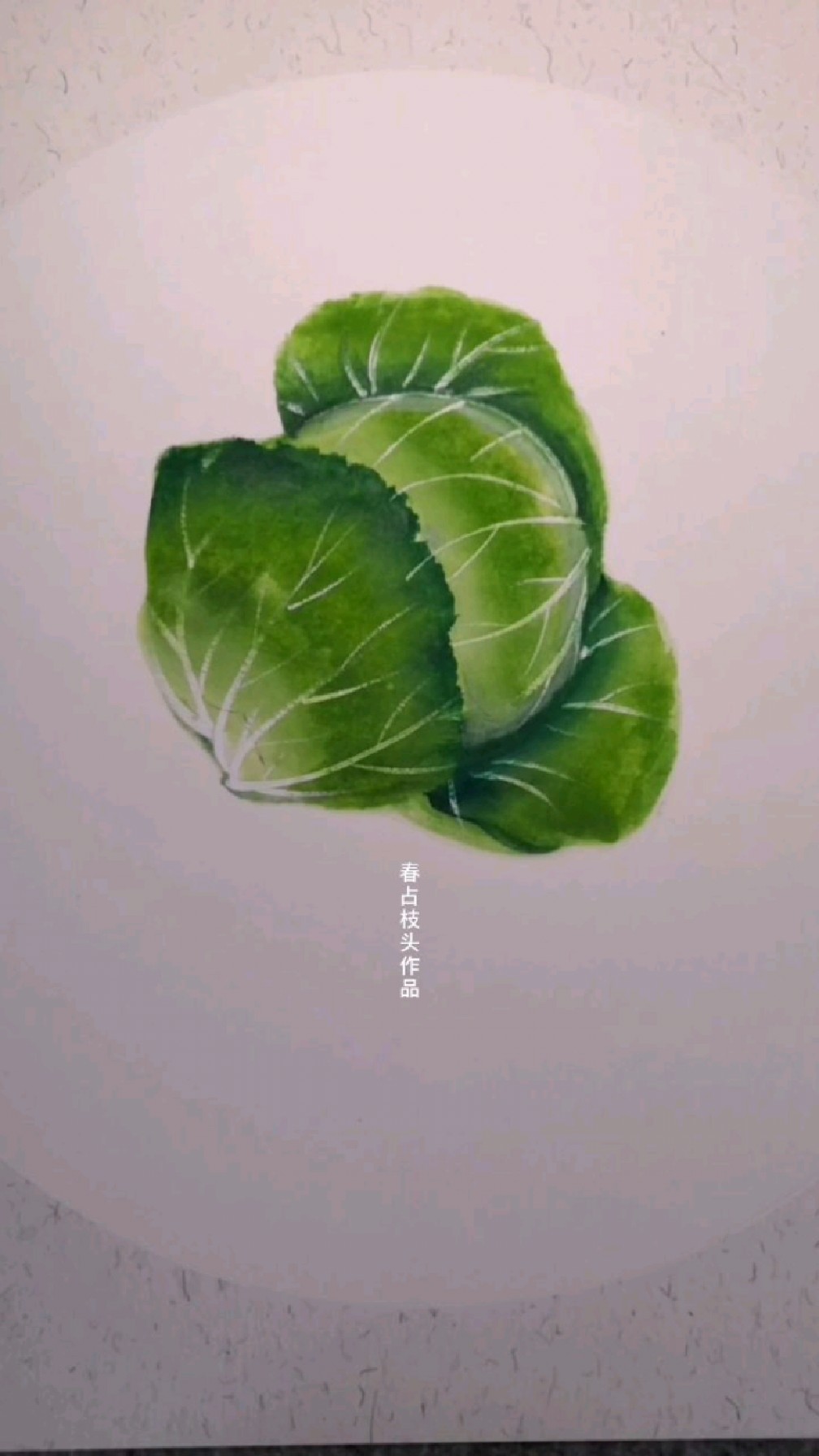 包菜这样画特别简单