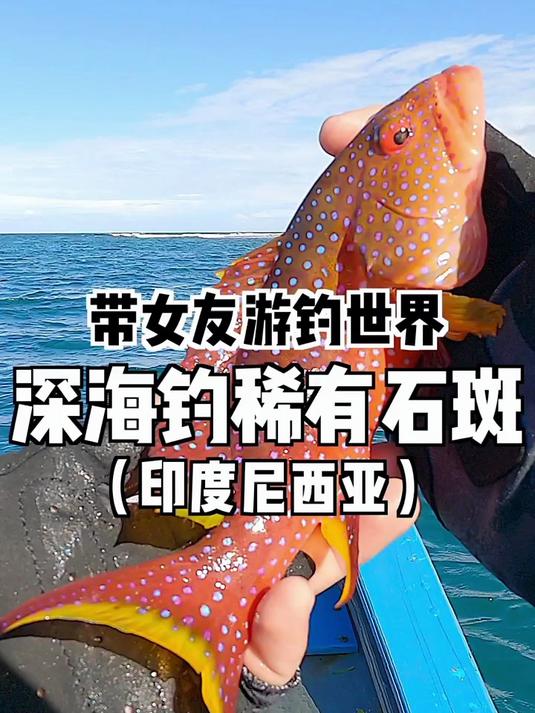 热心钓友发现东南亚的稀有石斑鱼泛滥了
