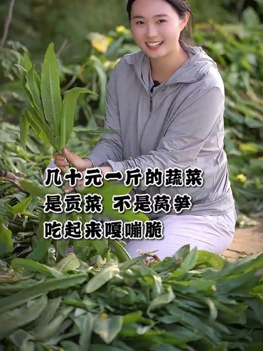 这个是贡菜,真的不是莴笋,价格比上牛肉了都