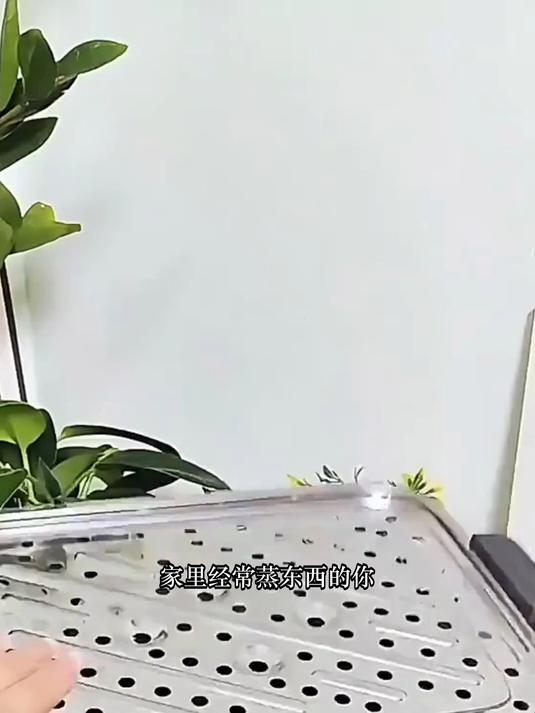 九阳电蒸锅多功能家用定时三层蒸箱不锈钢