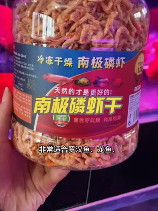 南极磷虾干新吃法 干净营养 鱼儿吃得欢 你也试试