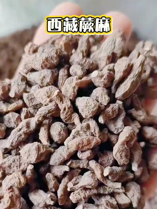 蕨麻为蔷薇科植物鹅绒委陵菜的块根，你知道它有什么作用吗