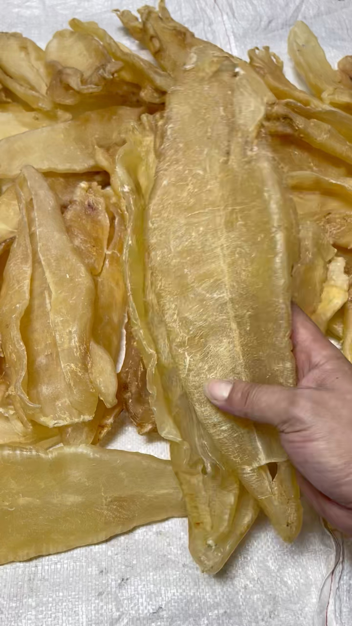 巴西北海胶,平均一个4两,短身厚肉A货,货源十足干,北海属于大众认可质量非常不错