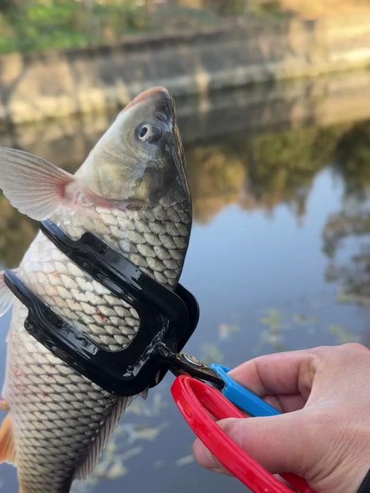 鱼嘴夹钳:钓鱼爱好者的必备终极工具!