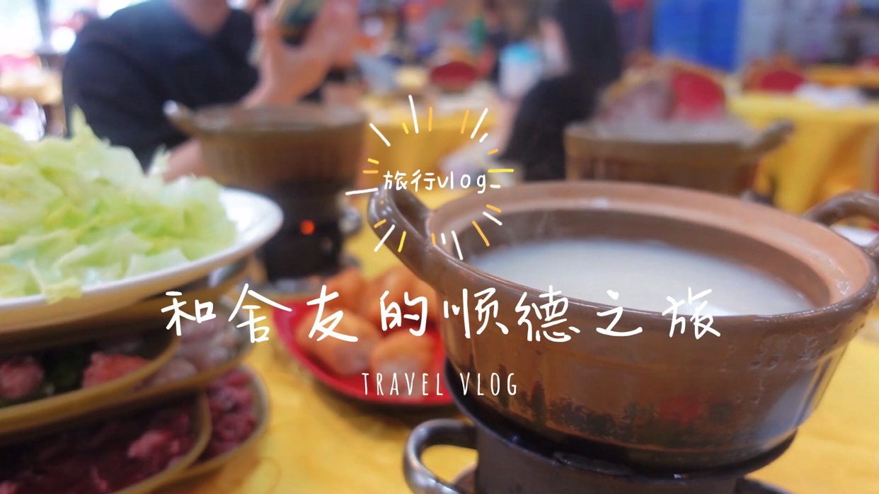 VLOG✨旅行|和舍友的顺德之旅✈️ 粥底火锅yyds!